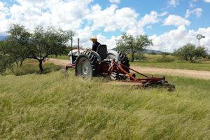 brush hog 300×200-2 brush hog