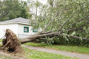 debris removal