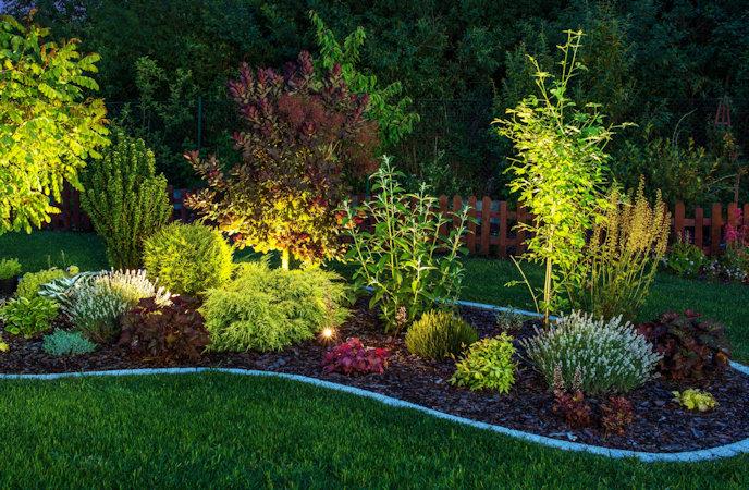 landscape lighting